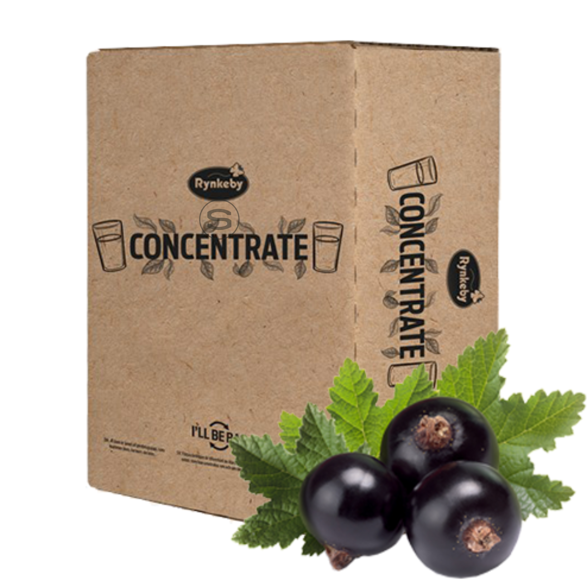 blackcurrant_bib_5ltr.png